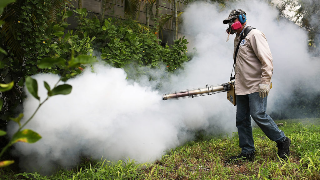 pesticide mosquito zika pesticides mosquitos spraying dade threats tjekkes transmitir elk grove profecional fumigaciones mosquitoes affect podem ovos estudo slows