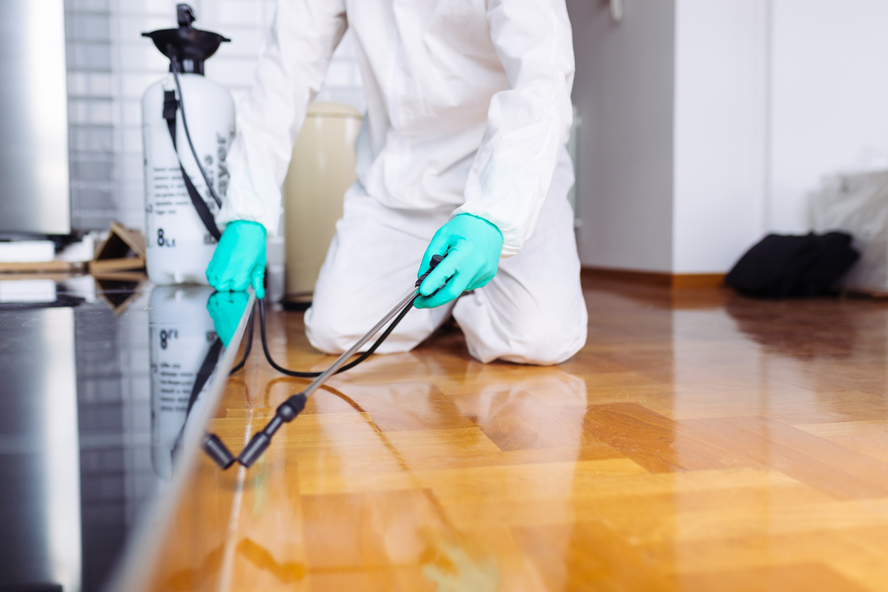 When Is It Time to Call a Pest Control Service?