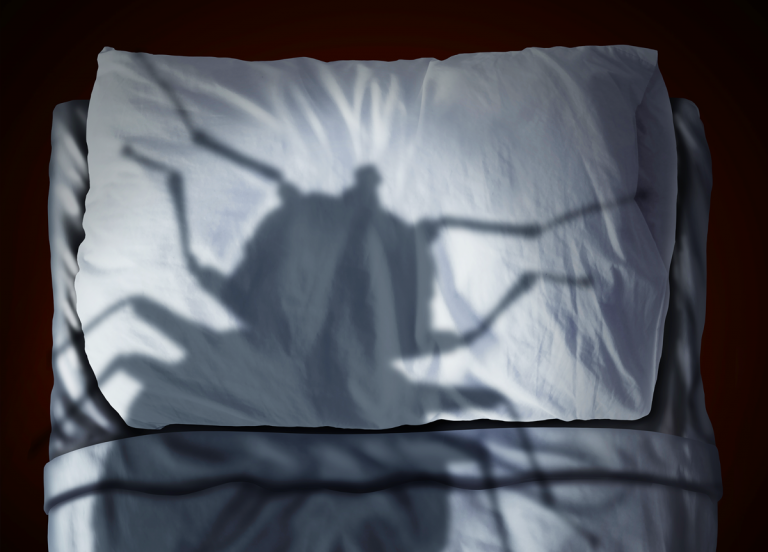 3 Easy Tricks to Prevent Bed Bugs