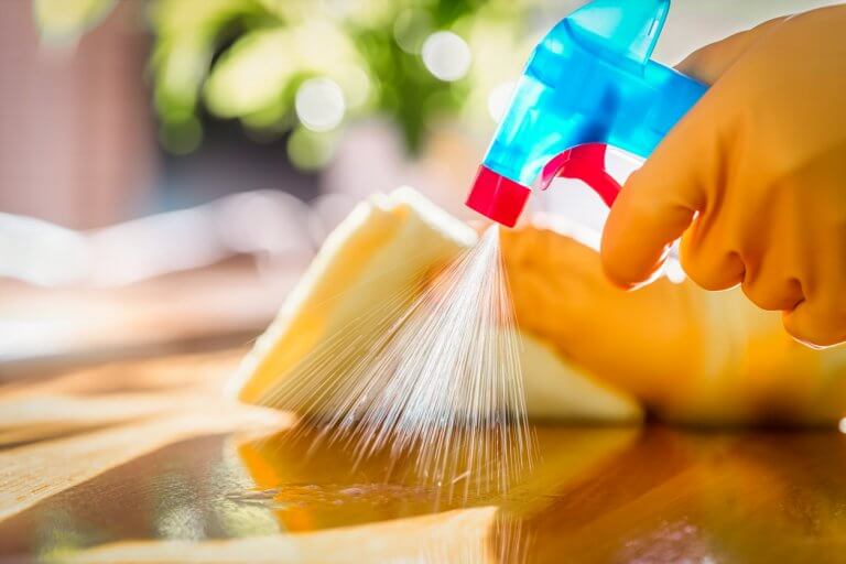 Top Spring Cleaning Tips to Keep Pests Out of Your Home