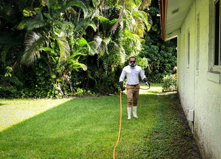 Which Areas of South Florida Does Manning Pest Control Treat?